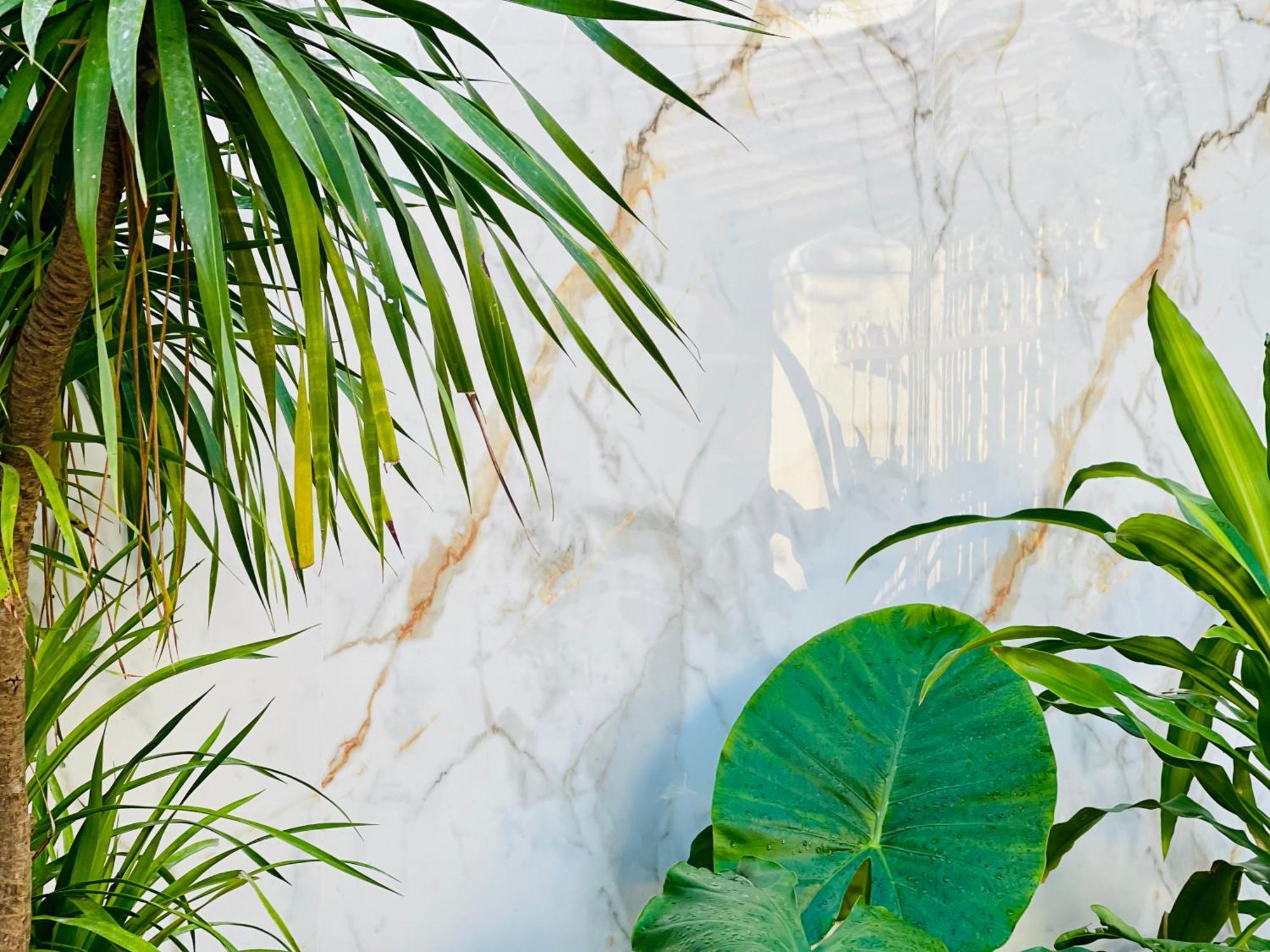 Tina House Apartment دا نانغ المظهر الخارجي الصورة